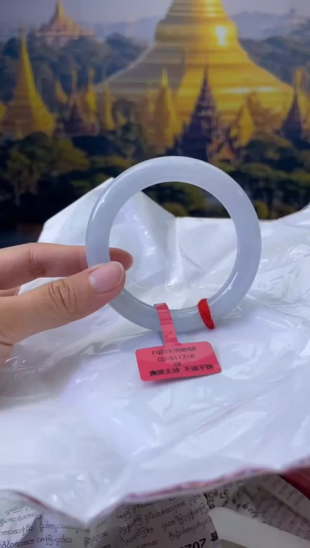 未镶嵌手镯翡翠5