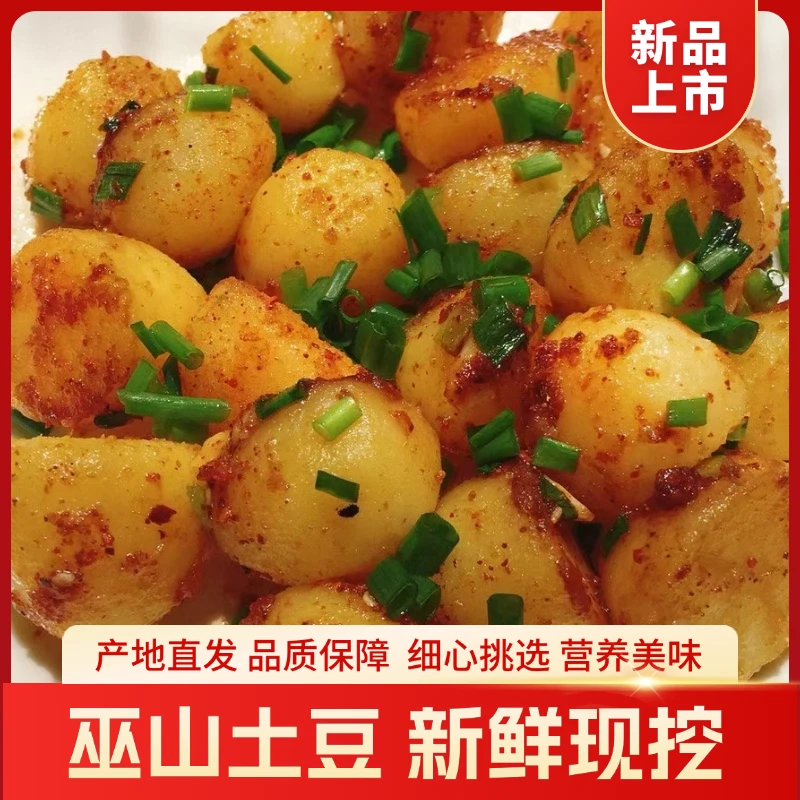 【当季新鲜土豆】农家自种黄心土豆  新鲜现挖 粉糯洋芋