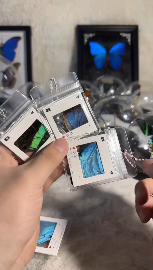 钥匙扣进口三个真实蝴蝶标本