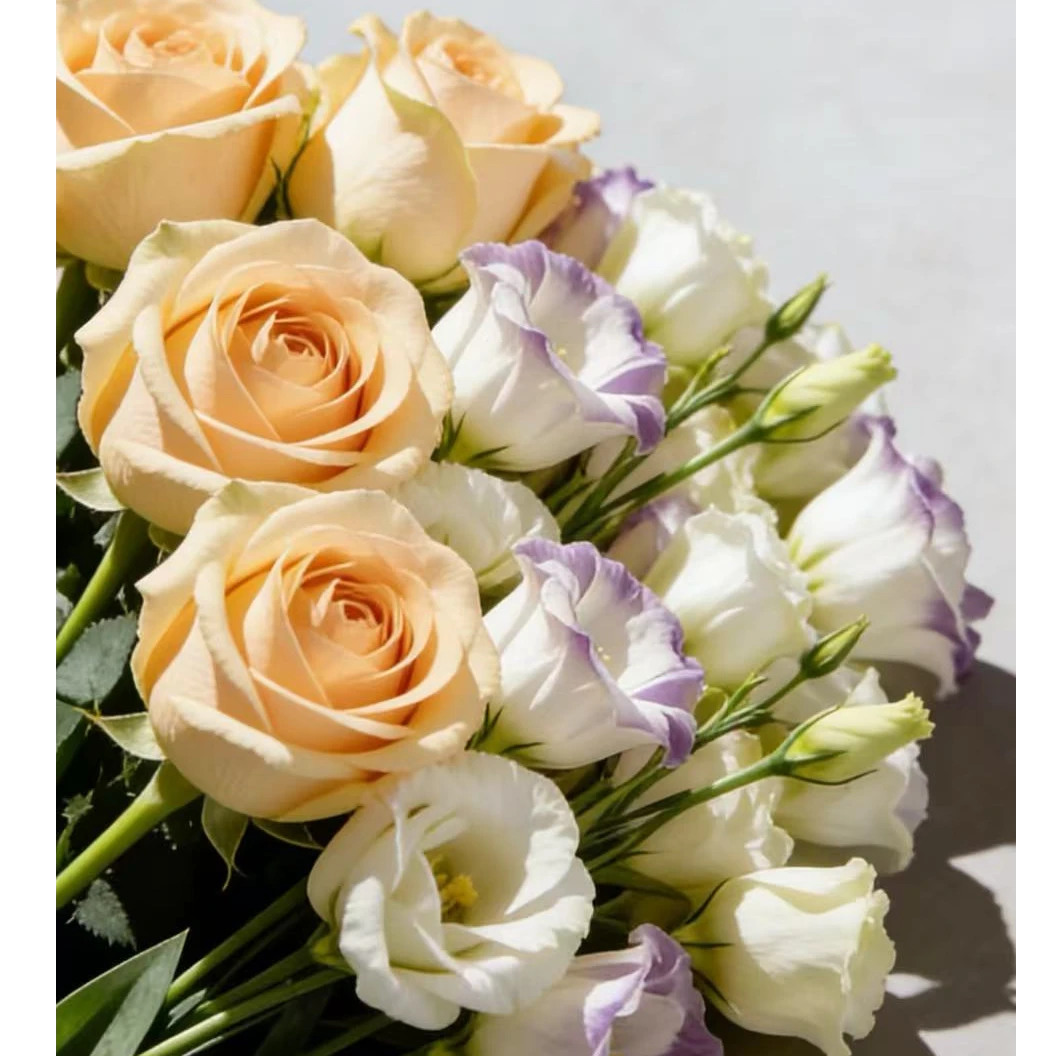 香槟玫瑰3支+桔梗2支+配草10支 香槟玫瑰桔梗混搭鲜切花