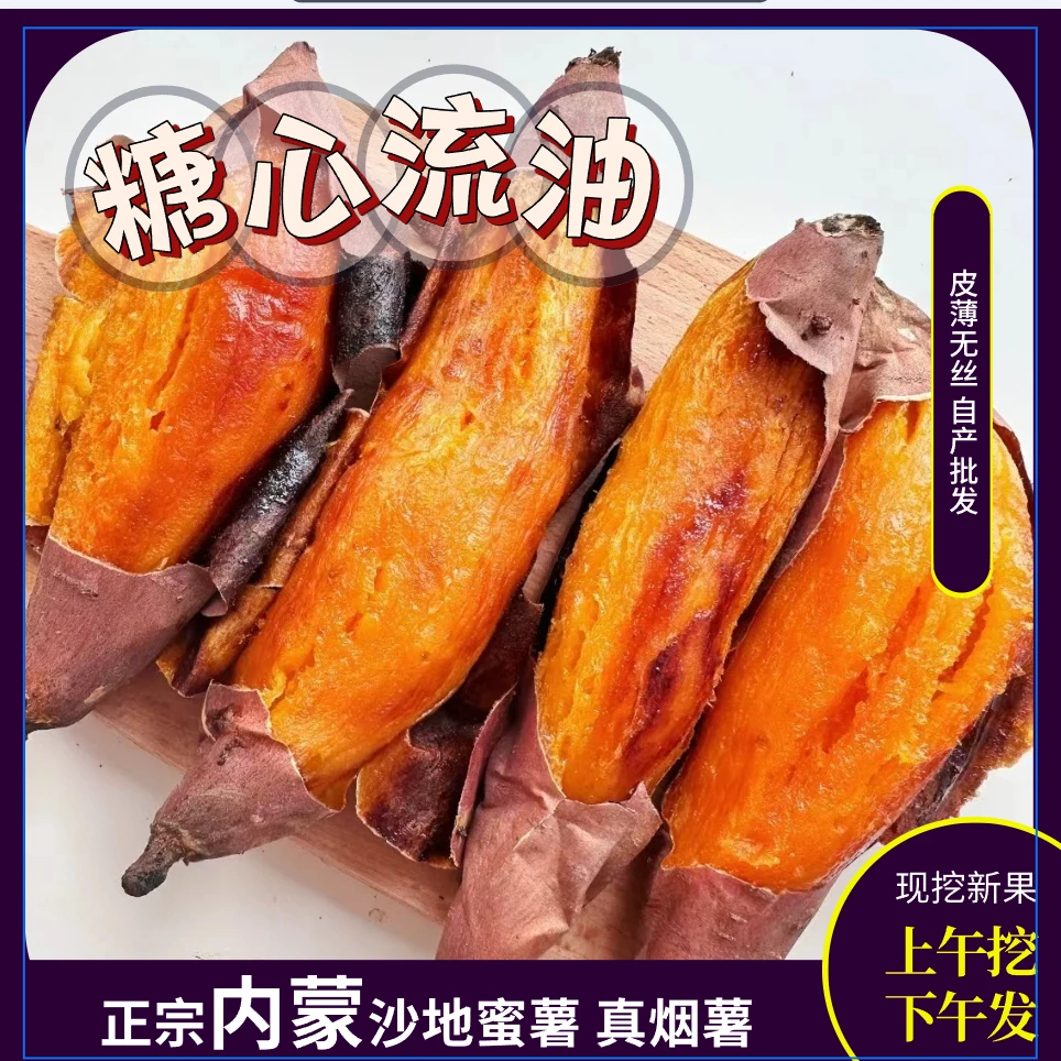 【带箱五斤】正宗内蒙沙地烟薯现挖农家黄心蜜薯软糯香甜地瓜番薯
