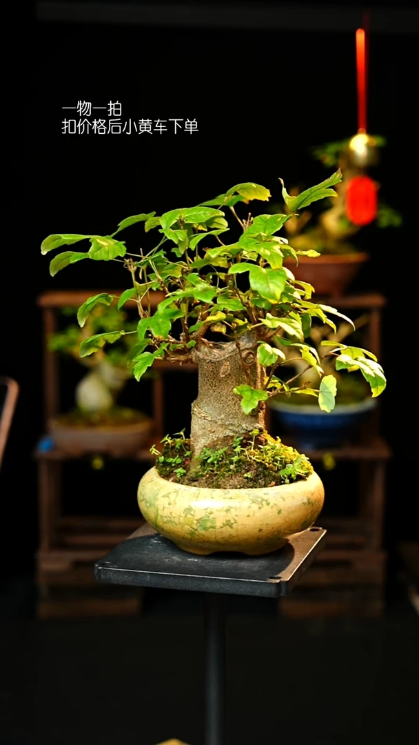 无花朵以实际为准