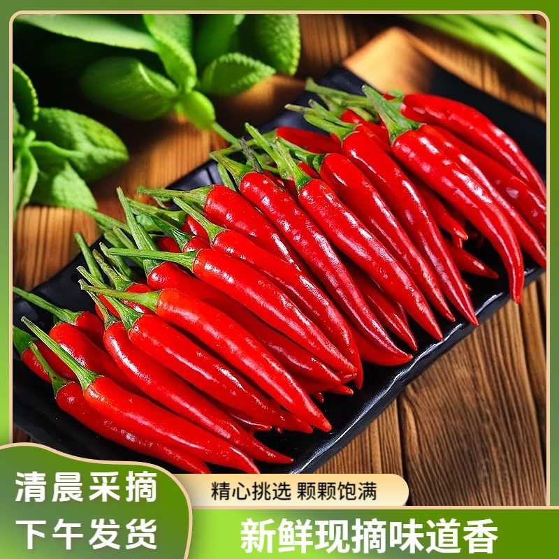 农家新鲜采摘新鲜特辣小米椒市场商超餐饮批发香辣红小米椒朝天椒