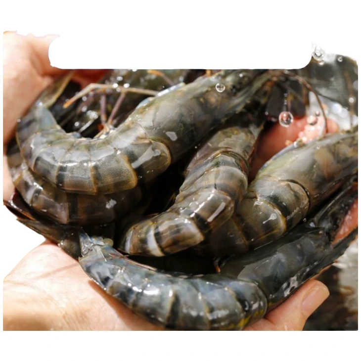 30-40规格海水黑虎虾盐冻锁鲜一盒/4斤到手60-75只