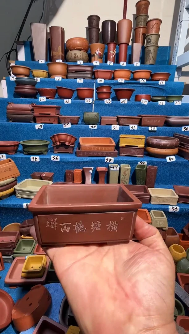 【闪购商品】紫砂紫砂花盆微暇