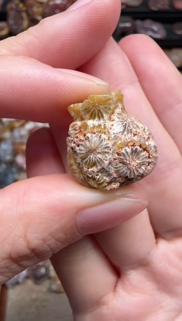 颈饰未镶嵌硅化珊瑚（珊瑚玉）834