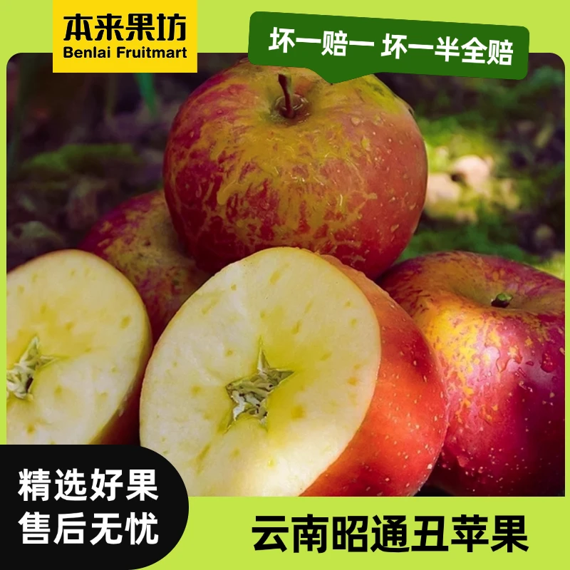 【本来果坊】云南昭通高原丑苹果 脆甜多汁 产地直发 坏果包赔