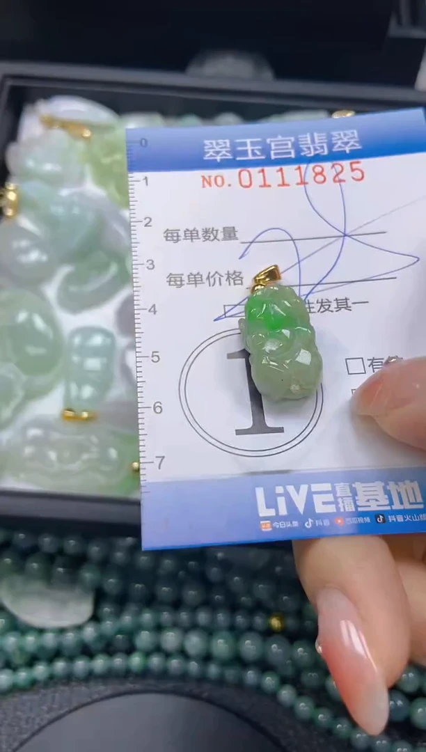 翡翠未镶嵌颈饰闪购0111825