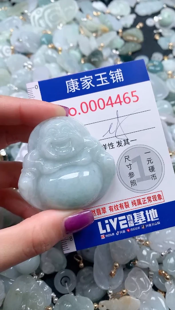 颈饰未镶嵌翡翠4465