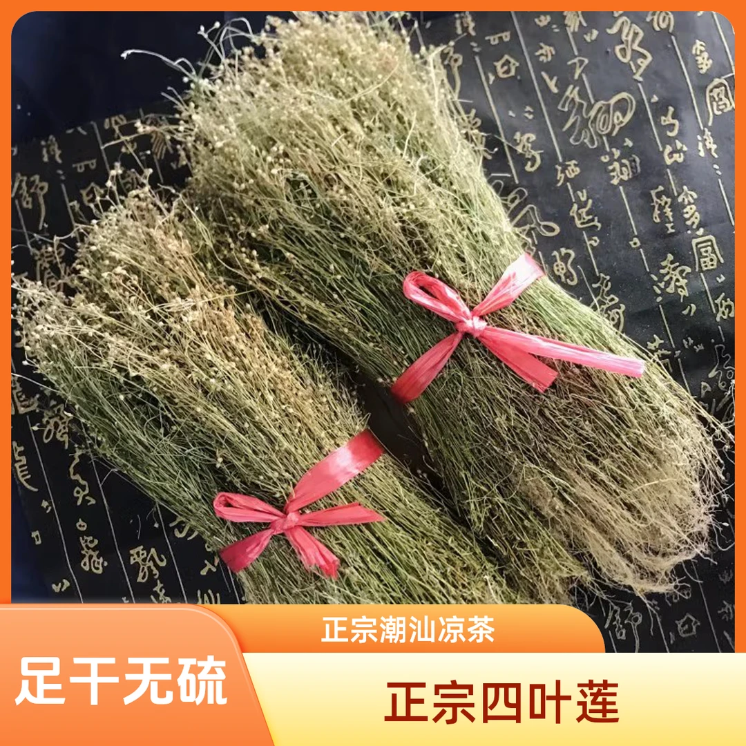 正宗潮汕四叶莲四合莲独枝莲足干无硫清甘好喝煮凉茶煲猪骨汤泡酒