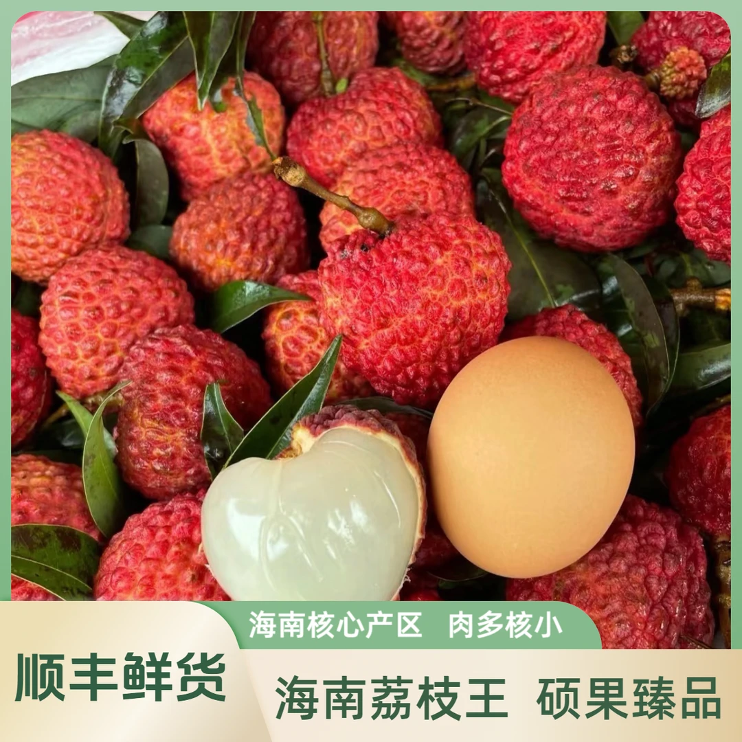 【顺丰次日达】海南荔枝王特大火山口核心产区1~5斤装当季新鲜应季荔枝荔枝同城送海南省