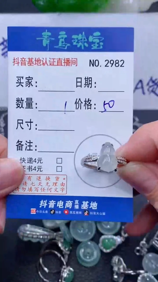 颈饰银S925镶嵌翡翠?****r多样性发其中一件