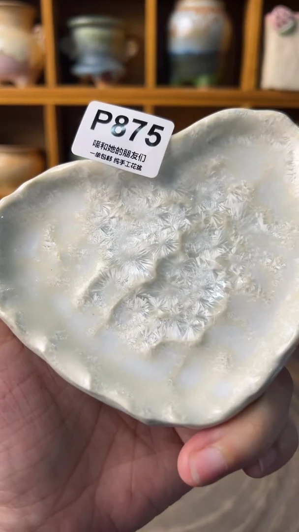 875 托盘【多肉花盆多肉盆】