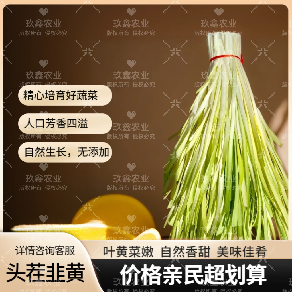 云南农家自种特色韭黄时令蔬菜基地现割现发