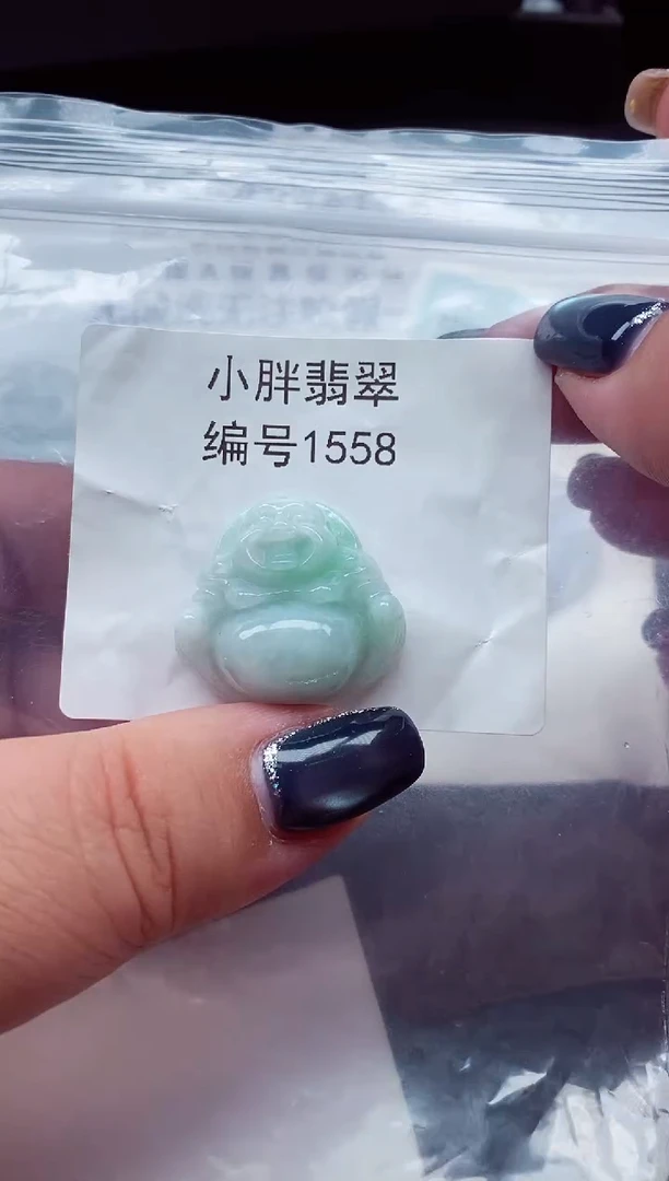 颈饰未镶嵌翡翠缅甸天然A货翡翠1558