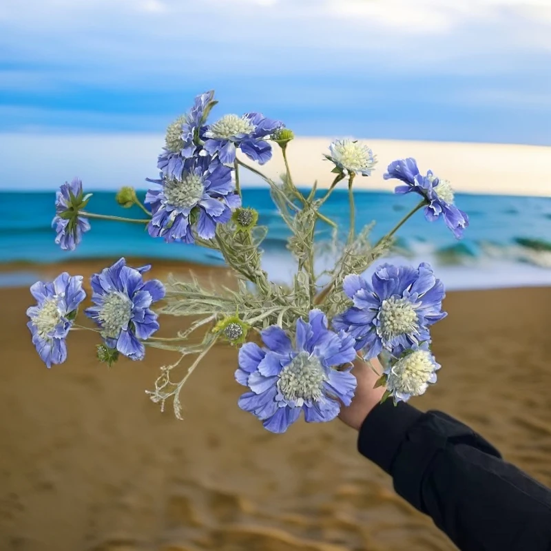 4枝仿真花轮峰菊家居装饰插花摆件旅拍道具挂墙花艺设计婚庆花