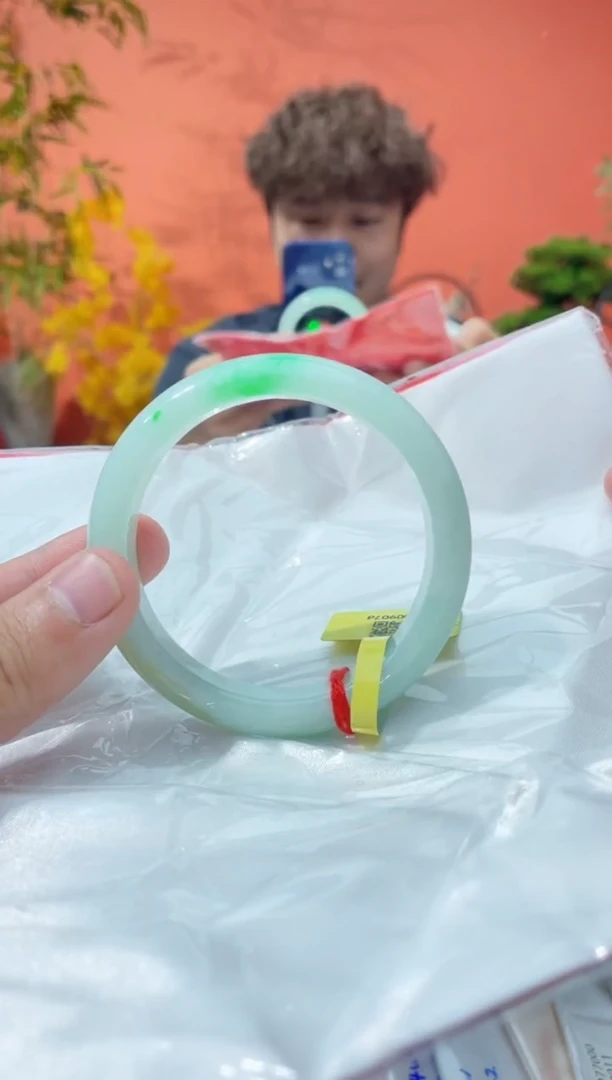 未镶嵌手镯翡翠5