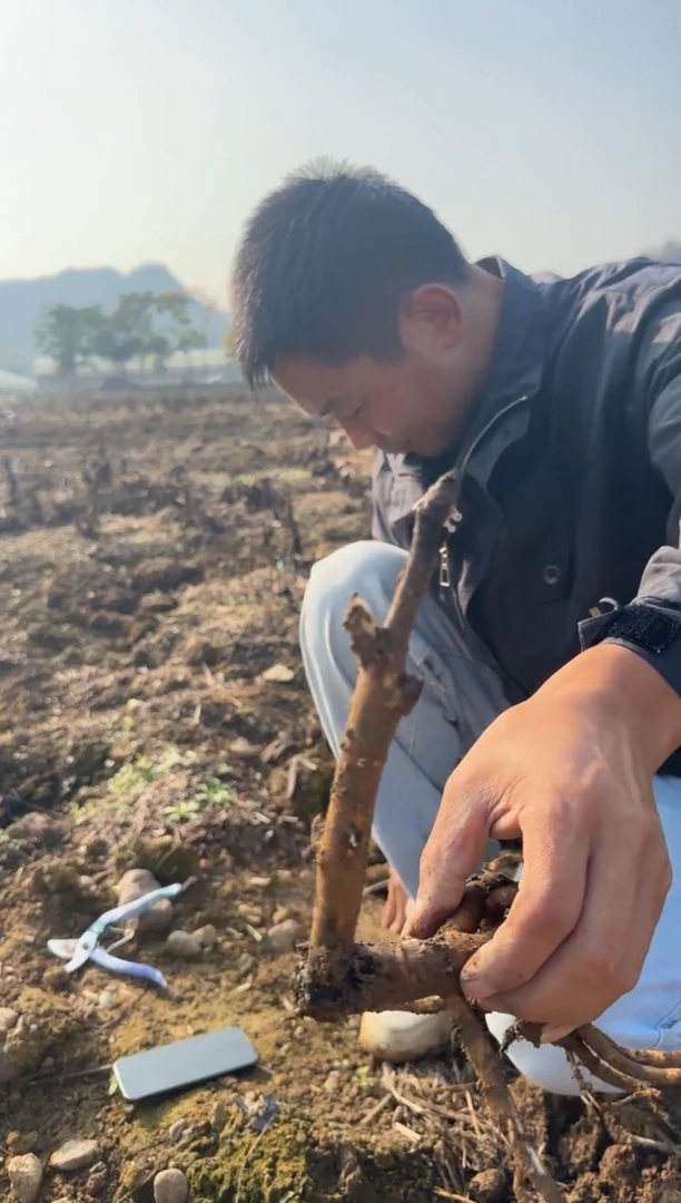 福**地39.9  福天福地   瑞嘉帝安