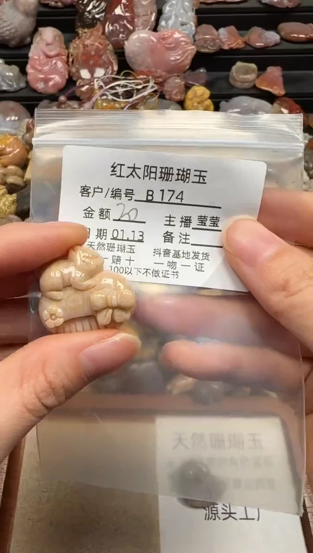 【闪购商品】硅化珊瑚（珊瑚玉）颈饰未镶嵌174