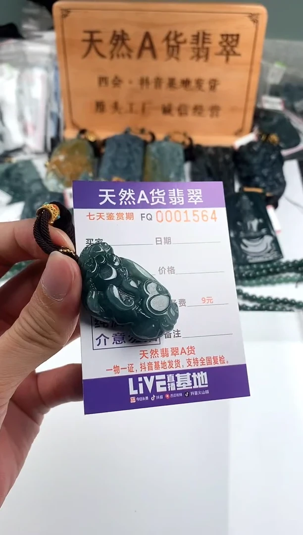 颈饰未镶嵌翡翠  多样性随机一件发货 貔貅38