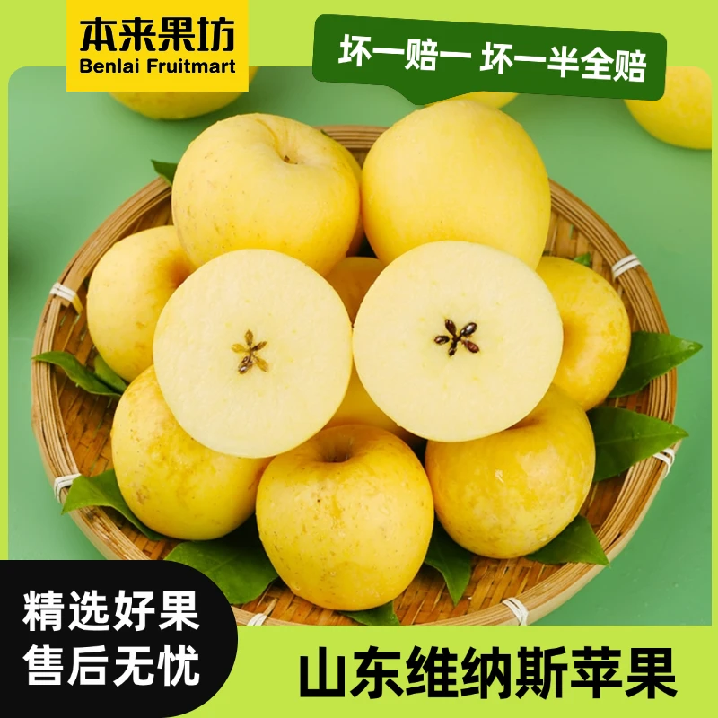 【本来果坊】山东维纳斯黄金苹果 脆甜爽口 产地直发 坏果包赔【P】