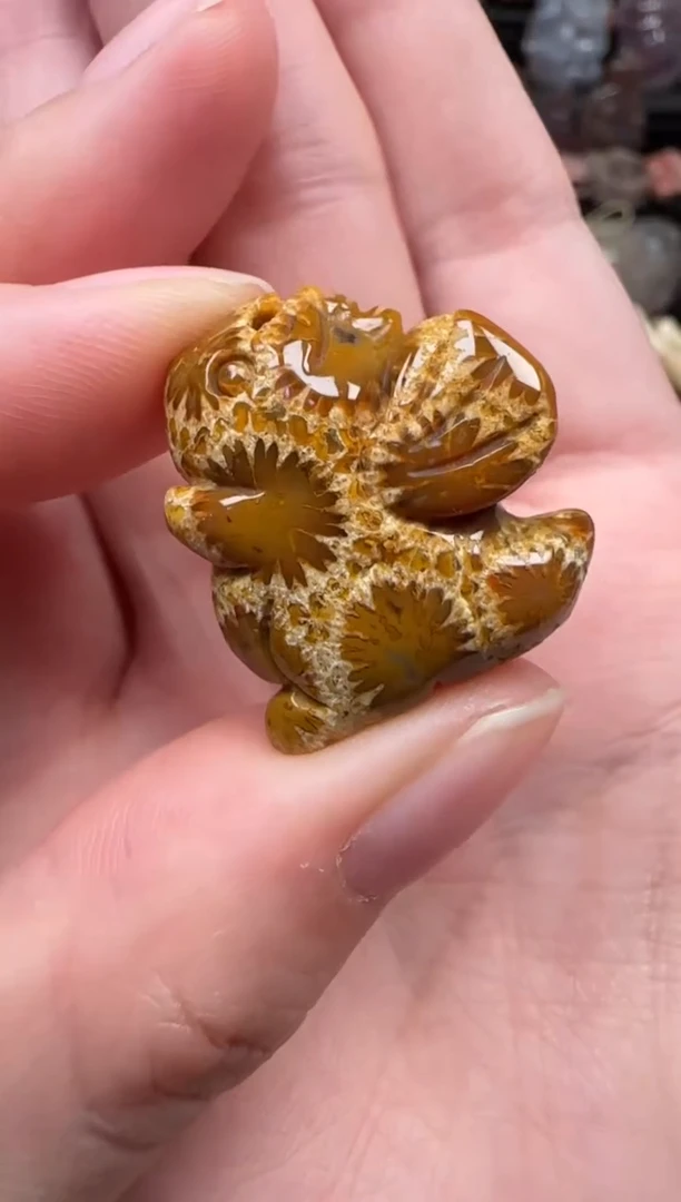 颈饰未镶嵌硅化珊瑚（珊瑚玉）571