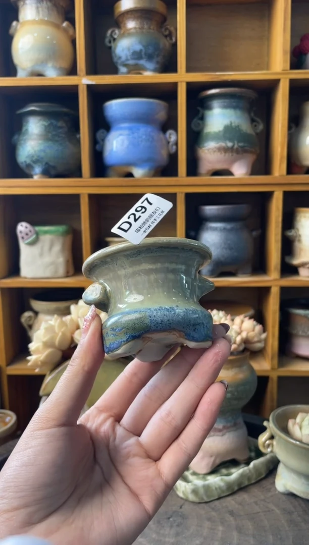 297内口6【多肉花盆多肉盆】