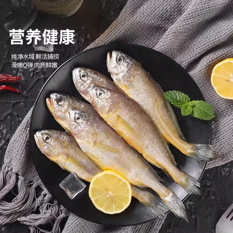 【纯色本味】海捕舟山原条小黄花鱼400g*5袋 （每袋约8-14条）