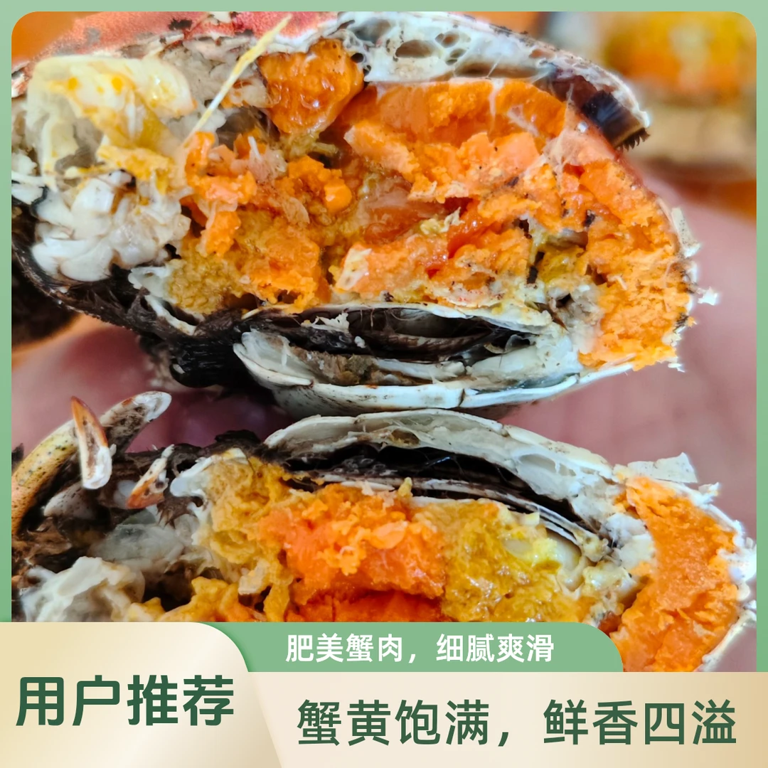 【活蟹】盘锦河蟹海鲜全母蟹0.8-1.1两30只顺丰包邮鲜活直发