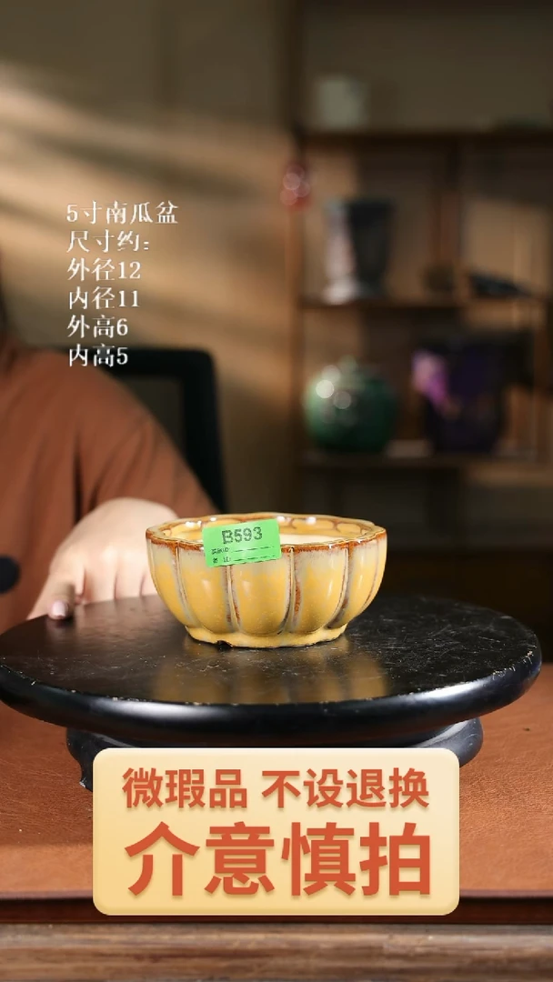 5寸南瓜盆   593