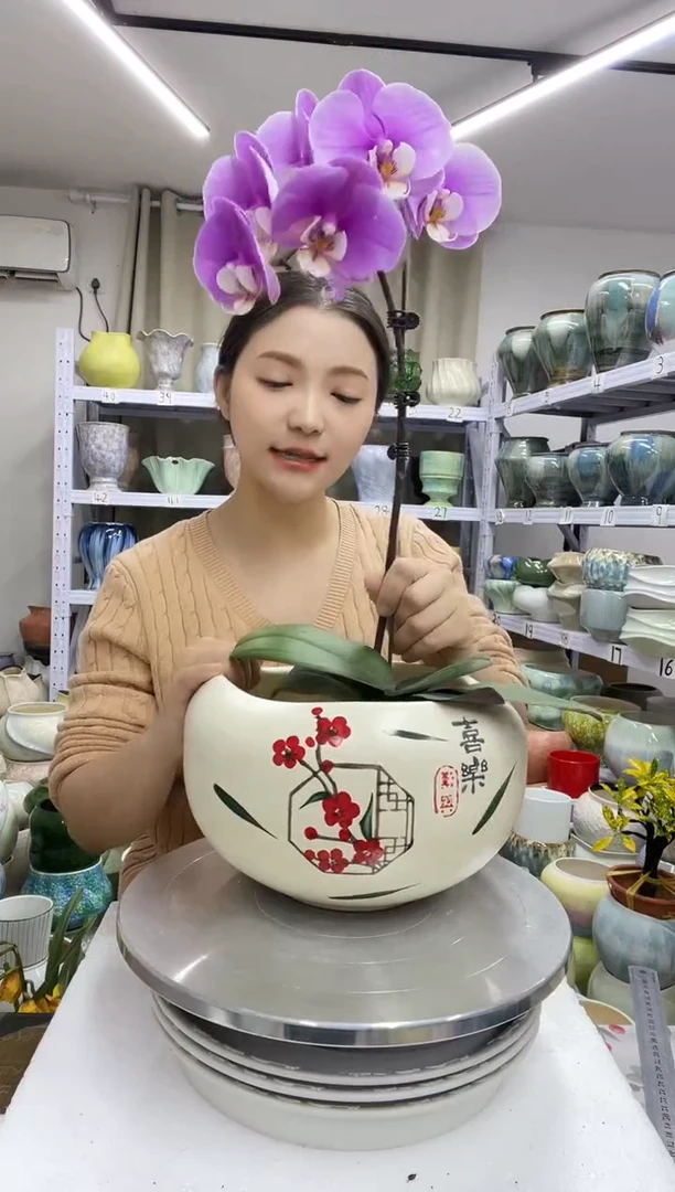 12.29陶瓷花盆直播链接高.     15 口18