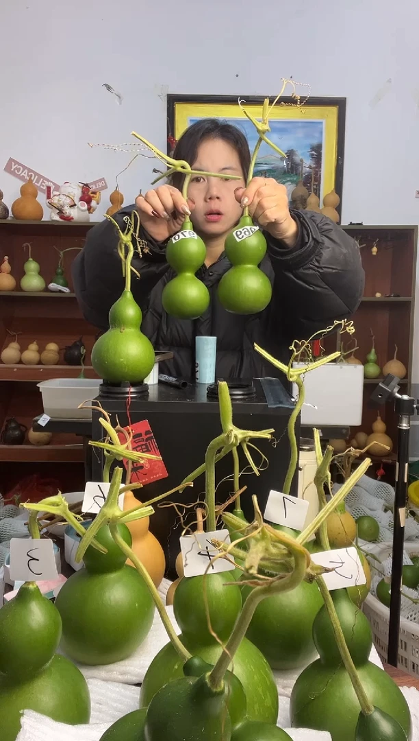 969天然葫芦摆件 一物一拍龙头不保售后两个