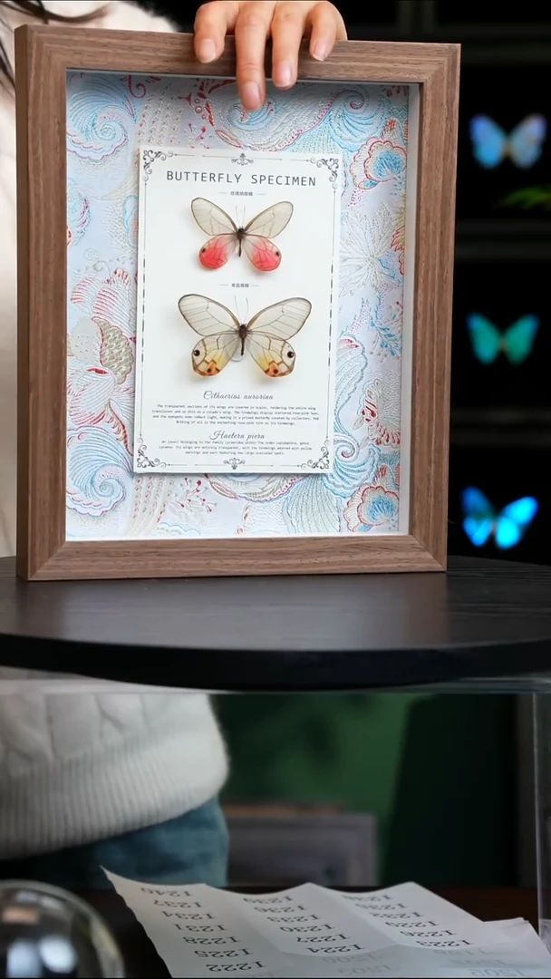 玫瑰绡眼蝶+黄晶眼蝶绢布款