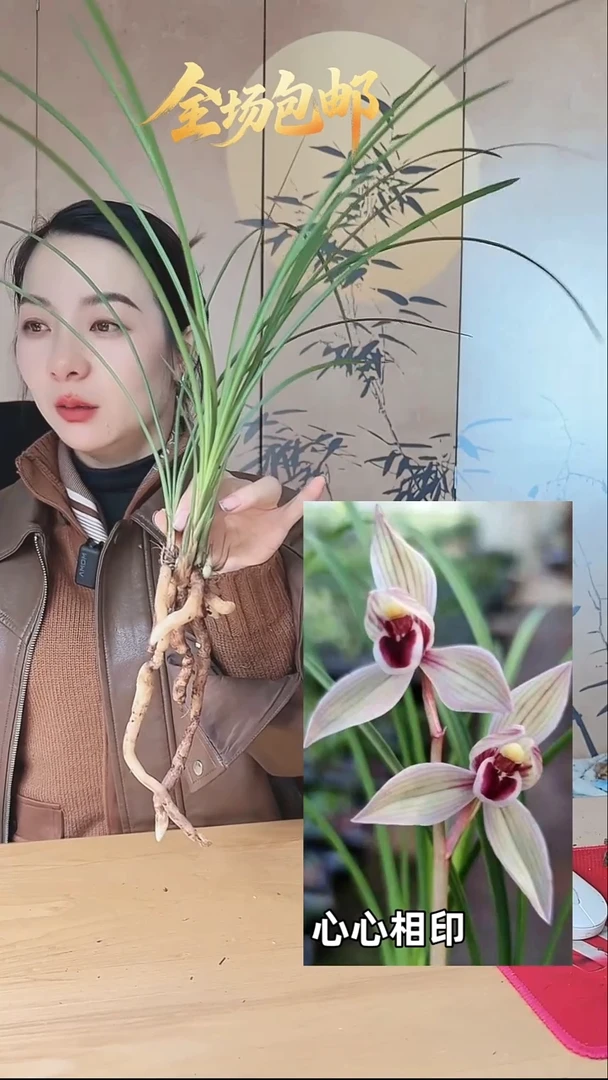 当前无花栽培后可以开花：心心相印