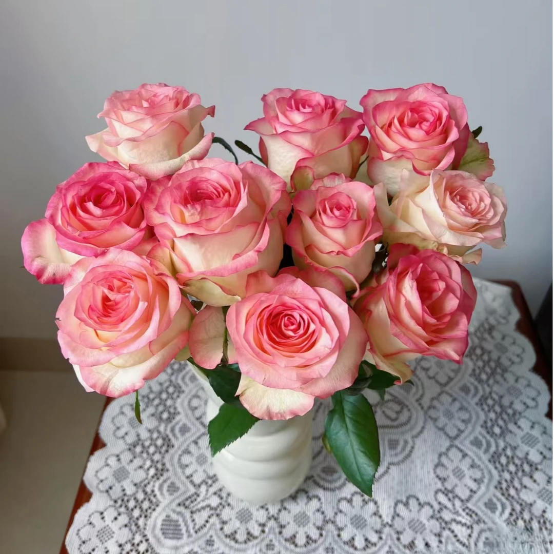 爱莎（艾莎）粉玫瑰【2单顺丰或京东】云南鲜花家庭水养花瓶插花切花