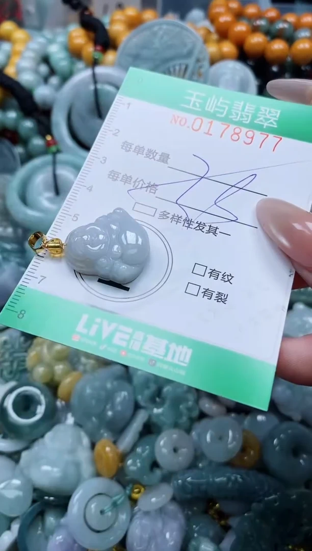 翡翠未镶嵌颈饰闪购0178977多样性发其一