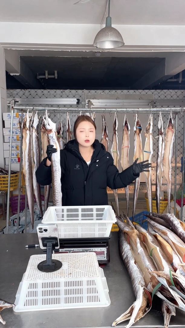 中国大陆3.3斤风鳗一条