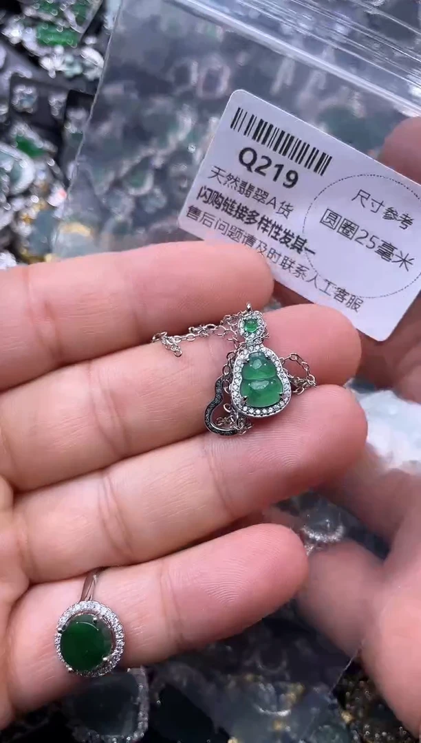 【闪购商品】翡翠颈饰未镶嵌Q219项链
