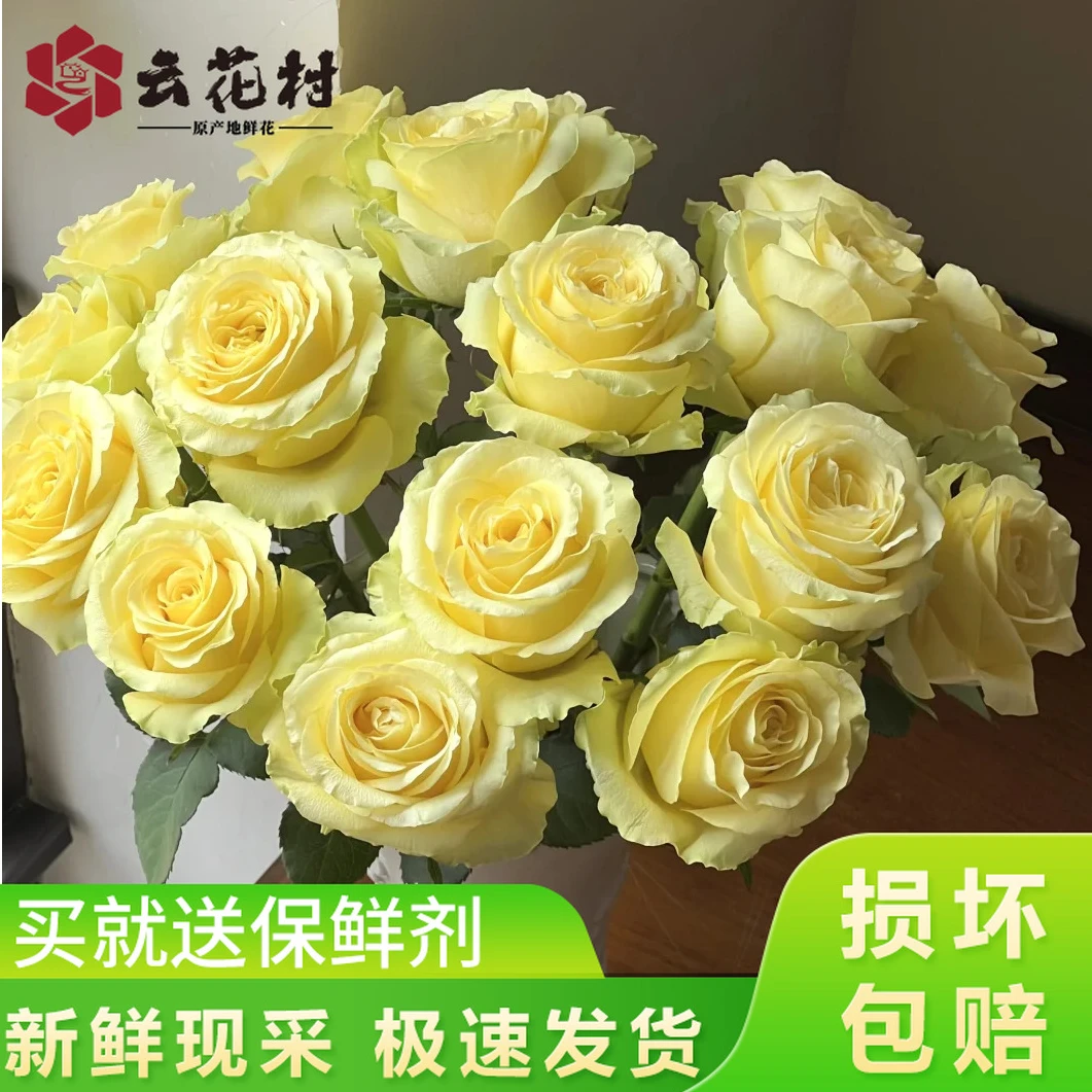 浪漫沙滩玫瑰10支【全店任意满2件发顺丰京东】云南玫瑰家用鲜花