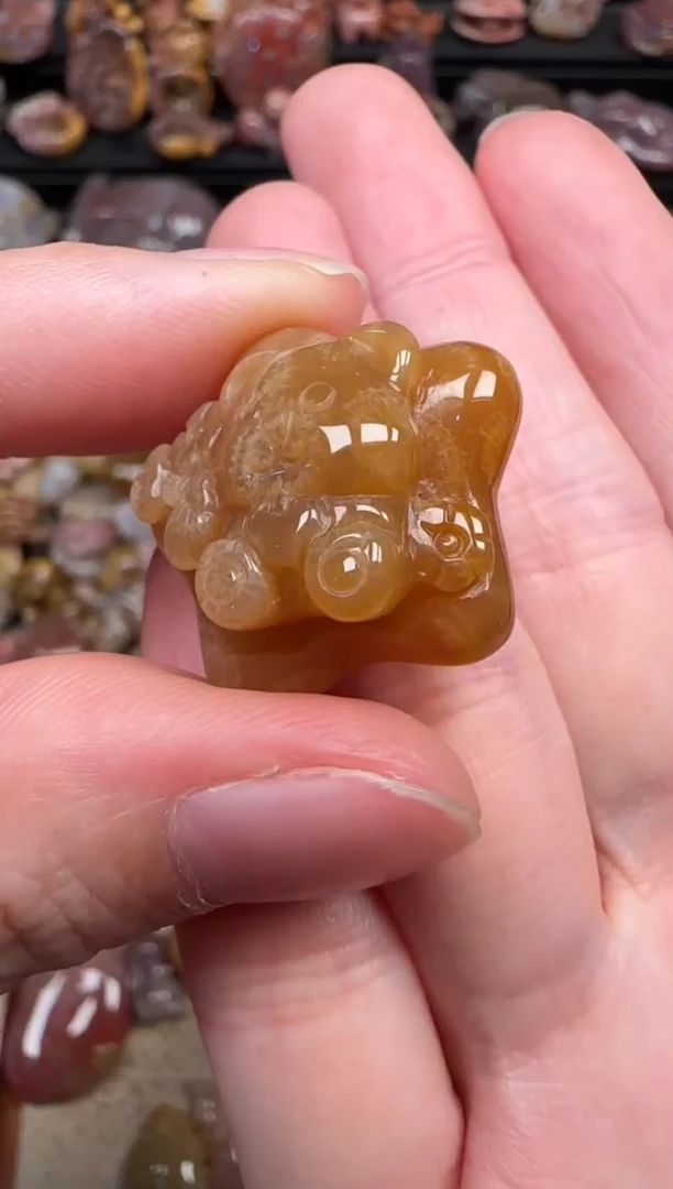 颈饰未镶嵌硅化珊瑚（珊瑚玉）131