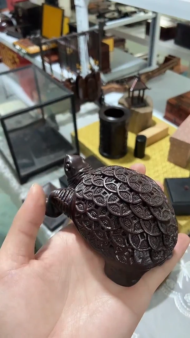 木  金钱龟