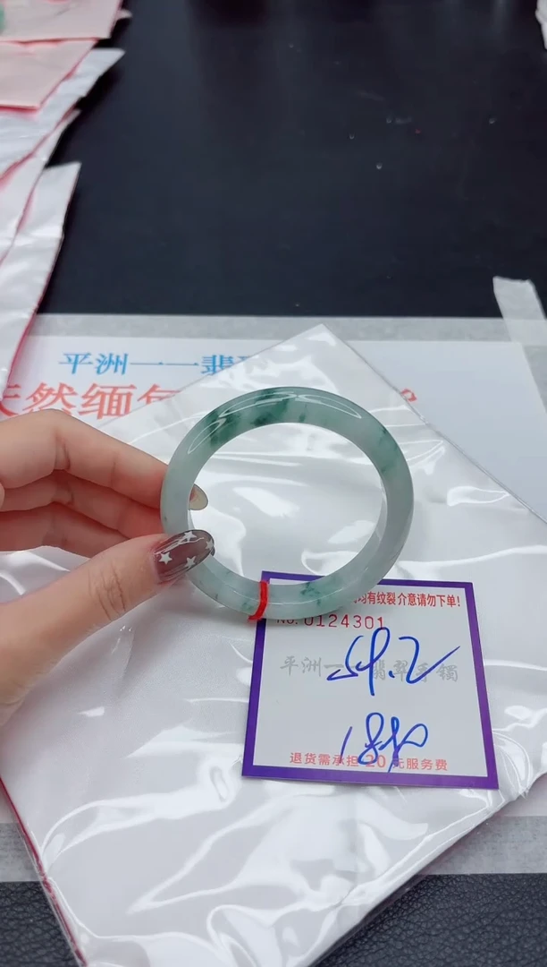 未镶嵌手镯翡翠1