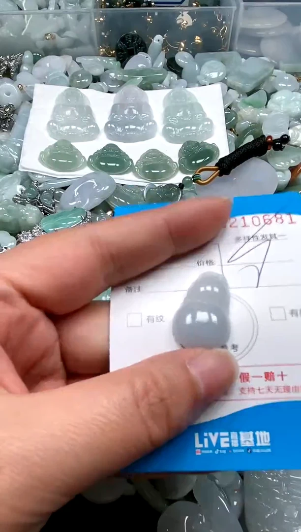 【闪购商品】翡翠颈饰未镶嵌闪购商品0210681