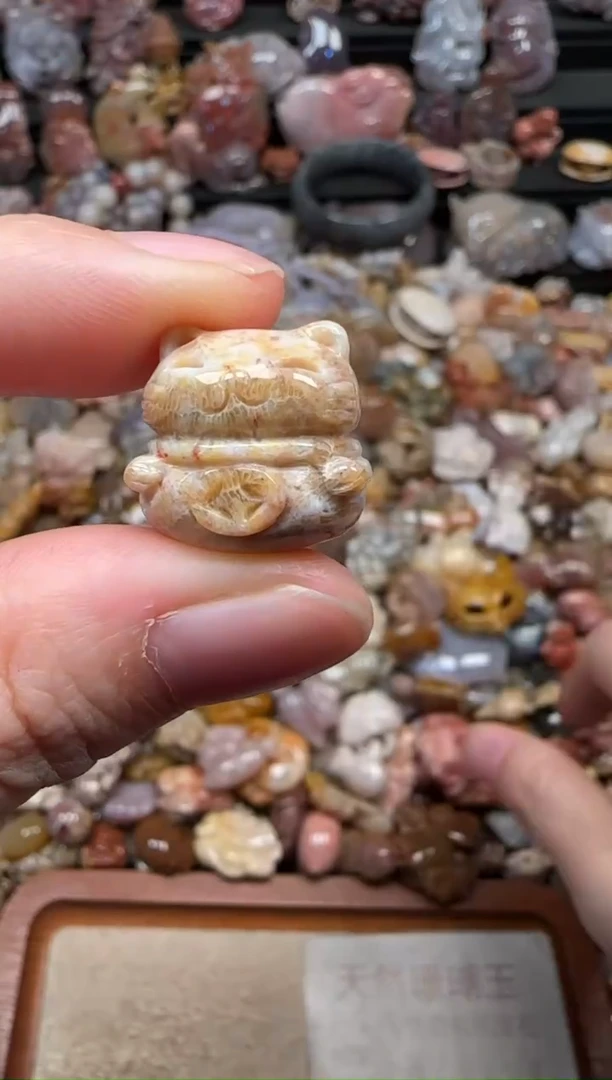 颈饰未镶嵌硅化珊瑚（珊瑚玉）360