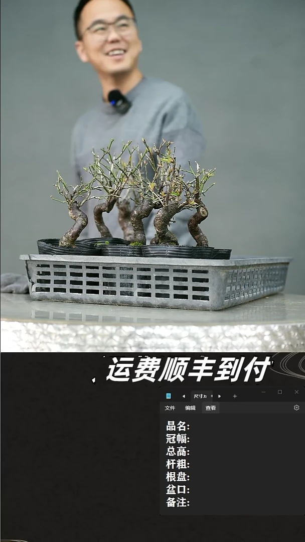 【闪购商品】24 野梅