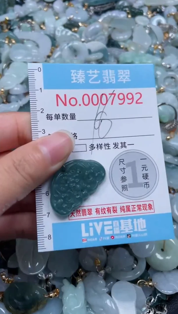 颈饰未镶嵌翡翠7992