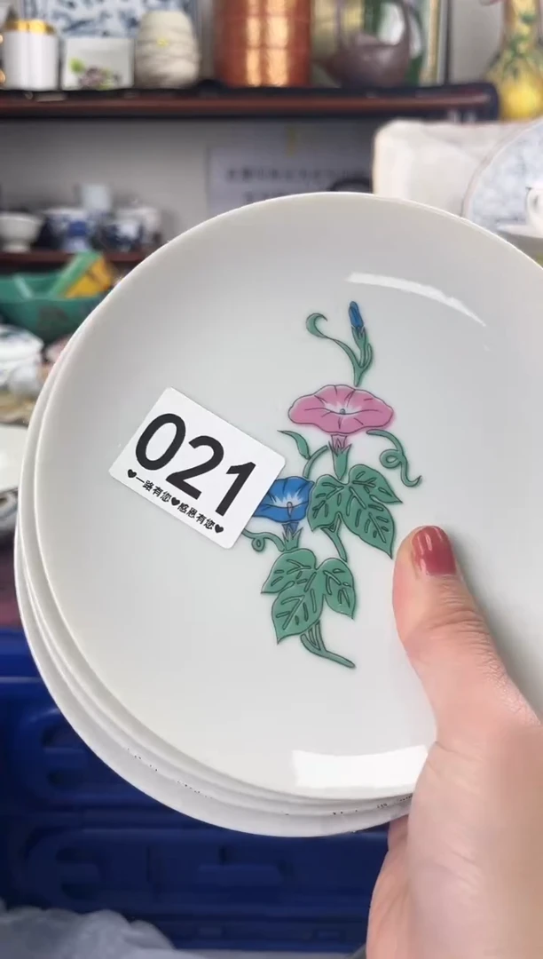 瓷片021...............