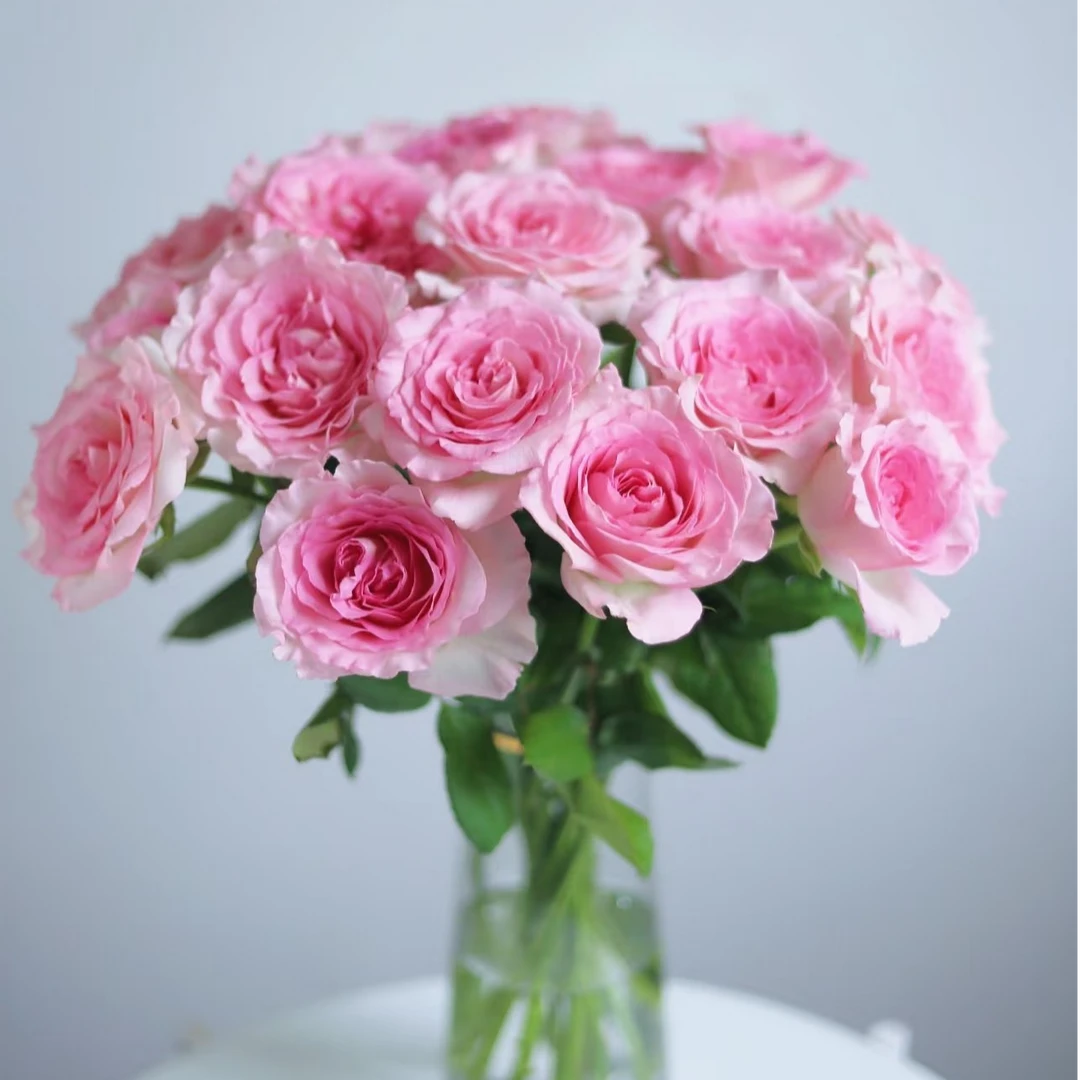 【洛神】云南昆明基地直发 玫瑰花水养 手捧花束 鲜花 拍三单送花瓶