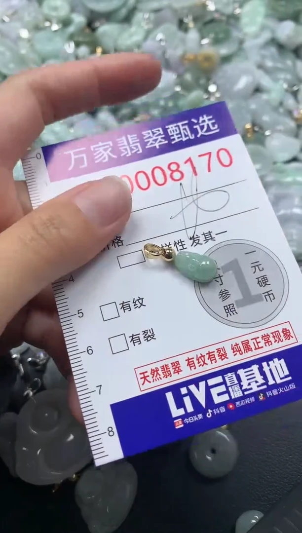 吊坠(不含链)未镶嵌翡翠8170