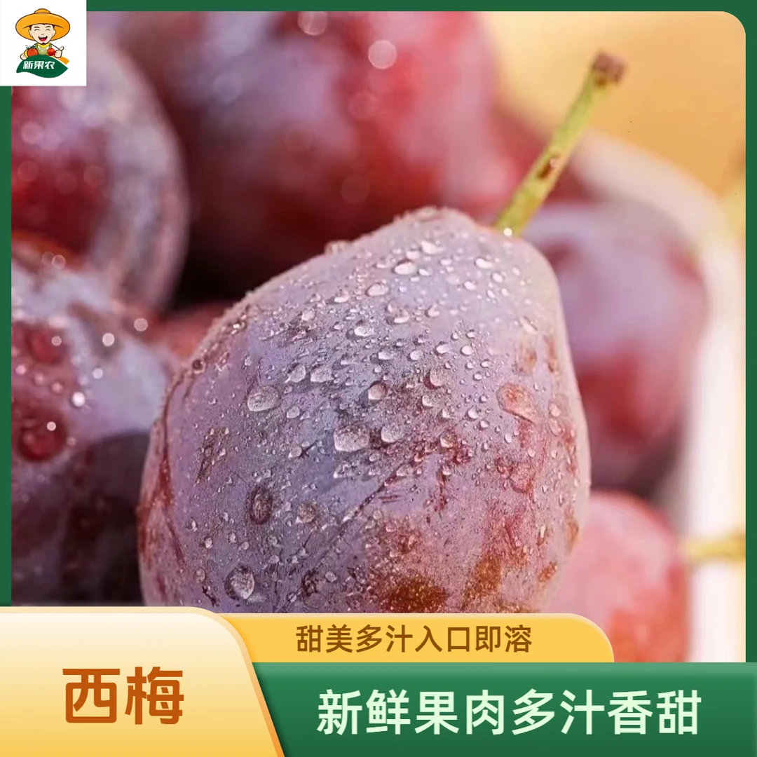 正宗新疆伽师法兰西西梅新大西梅纯甜无酸